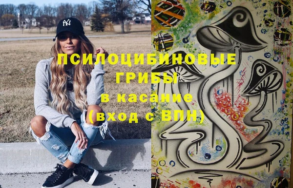 метадон Армянск