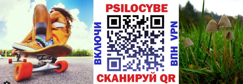 дарнет шоп  Аша  Псилоцибиновые грибы Cubensis 