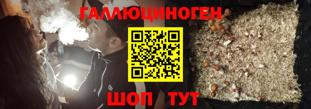 Псилоцибиновые грибы Psilocybe  Галлюциногенные грибы прущие грибы  Вход с VPN  продажа наркотиков  Аша 